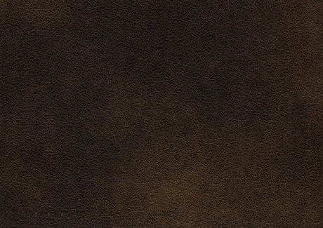 Croydon Brown Chair from Homelegance - Luna Furniture