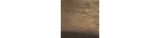 Wallmen Champagne Gold Finish Tray from Ashley - Luna Furniture