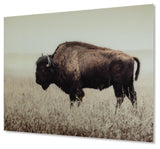 Brutus Sepia Wall Art from Ashley Furniture - Luna Furniture