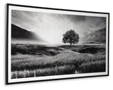 Deborland Black/White Wall Art from Ashley - Luna Furniture