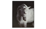 Archerwick Black/White Wall Art from Ashley Furniture - Luna Furniture