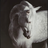 Archerwick Black/White Wall Art from Ashley Furniture - Luna Furniture