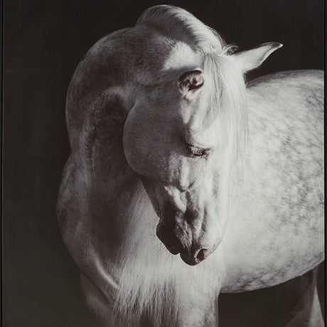 Archerwick Black/White Wall Art from Ashley - Luna Furniture