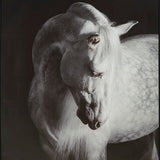 Archerwick Black/White Wall Art from Ashley Furniture - Luna Furniture