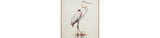 Aubinell Beige Wall Art from Ashley Furniture - Luna Furniture