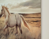 Errolville Multi Wall Art from Ashley - Luna Furniture