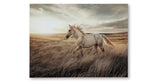 Errolville Multi Wall Art from Ashley - Luna Furniture