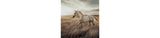 Errolville Multi Wall Art from Ashley - Luna Furniture