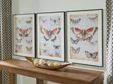 Jossletts Orange/Black/Ivory Wall Art (Set of 3) from Ashley - Luna Furniture