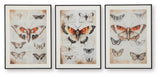 Jossletts Orange/Black/Ivory Wall Art (Set of 3) from Ashley - Luna Furniture