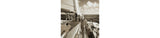 Arlanford Sepia Wall Art from Ashley - Luna Furniture