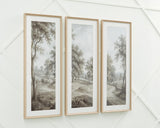 Dixonburg Taupe/Gray Wall Art, Set of 3 from Ashley - Luna Furniture