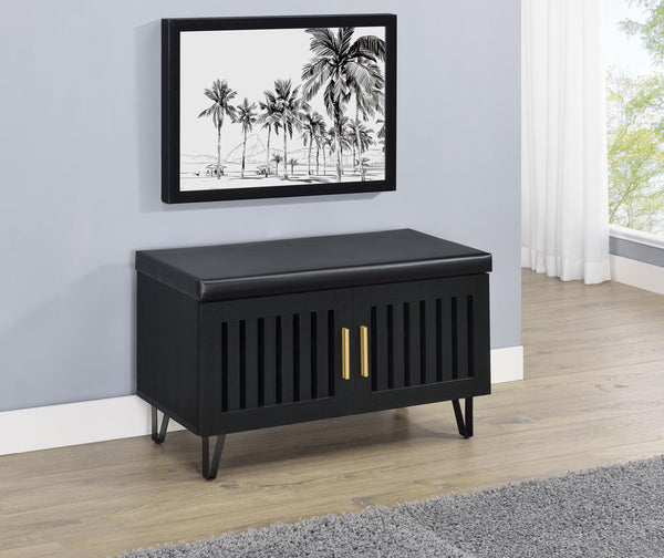 Addie Black 2-Door Padded Entryway Shoe Storage