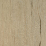 Addie White Oak 2-Door Padded Entryway Shoe Storage from Coaster - Luna Furniture