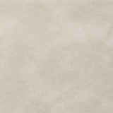 Adlanlock Bone Accent Chair from Ashley - Luna Furniture