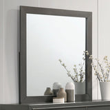 Alison Metallic Gray Mirror (Mirror Only) from Furniture of America - Luna Furniture