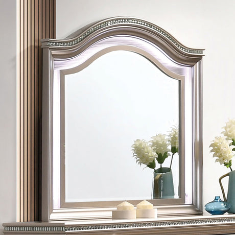 Allie Rose Gold Mirror (Mirror Only) from Furniture of America - Luna Furniture