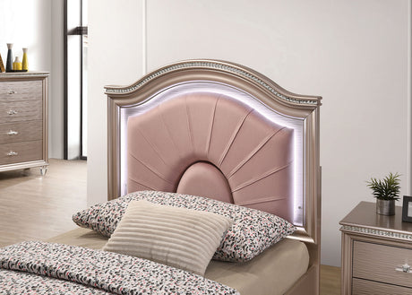 Allie Rose Gold Twin Bed from Furniture of America - Luna Furniture