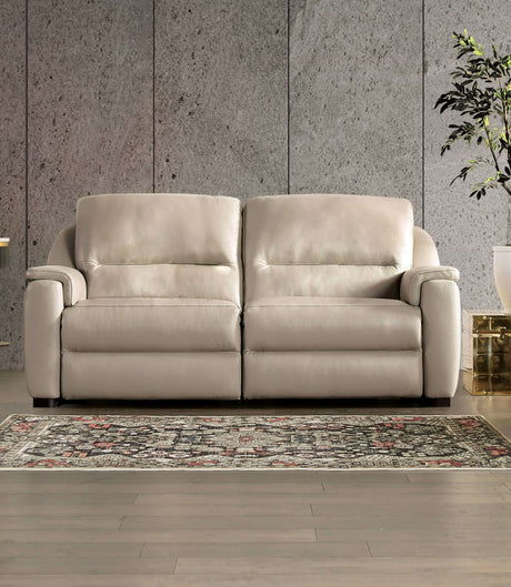 Altamura Taupe Power Loveseat from Furniture of America - Luna Furniture