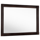 Andover Dark Oak Dresser Mirror (Mirror Only) from Coaster - Luna Furniture