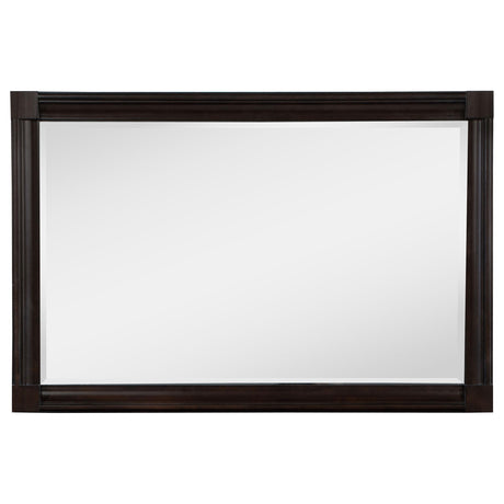Andover Dark Oak Dresser Mirror (Mirror Only) from Coaster - Luna Furniture