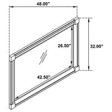 Andover Dark Oak Dresser Mirror (Mirror Only) from Coaster - Luna Furniture