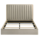 Arielle Light Oak Queen Bookcase Panel Storage Bed from Coaster - Luna Furniture