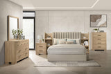 Arielle Light Oak Queen Bookcase Panel Storage Bed from Coaster - Luna Furniture