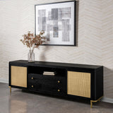 Arini Black Rattan Cane 2-Door TV Stand Media Console from Coaster - Luna Furniture