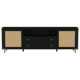 Arini Black Rattan Cane 2-Door TV Stand Media Console from Coaster - Luna Furniture