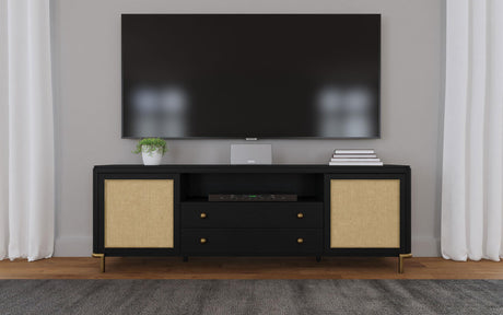 Arini Black Rattan Cane 2-Door TV Stand Media Console from Coaster - Luna Furniture