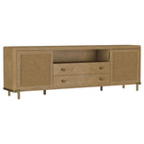 Arini Sand Wash Rattan Cane 2-door TV Stand Media Console from Coaster - Luna Furniture