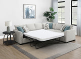 Ashford Greige Chenille Upholstered Sleeper Sectional Sofa from Coaster - Luna Furniture
