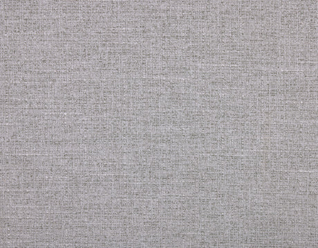 Auburn Arm Chair, Set of 2 from Steve Silver - Luna Furniture