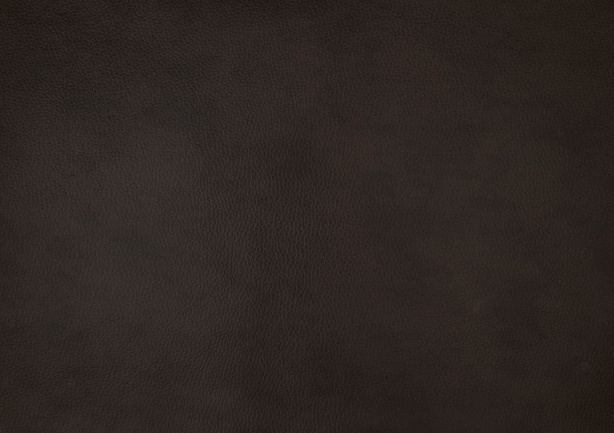 Austin Brown Genuine Leather Reclining Sofa and Loveseat from Homelegance - Luna Furniture