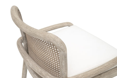 Avalon Counter Stool from Essentials For Living - Luna Furniture