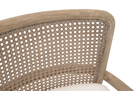 Avalon Counter Stool from Essentials For Living - Luna Furniture