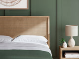 Cielden Two-tone Queen Panel Headboard, Dresser and Mirror from Ashley Furniture - Luna Furniture