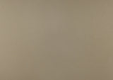 Loudon Champagne Metallic Youth Mirror (Mirror Only) from Homelegance - Luna Furniture