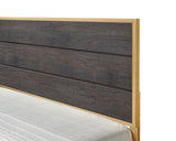 Trevor Brown/Gold Queen Panel Bed