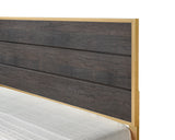 Trevor Brown/Gold King Panel Bed from Crown Mark - Luna Furniture