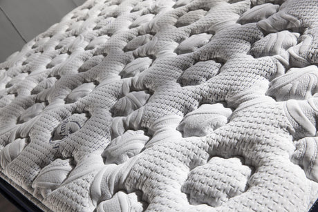 Biorythmic 13.5" Eurotop Extra Firm Queen Mattress from Bellona - Luna Furniture