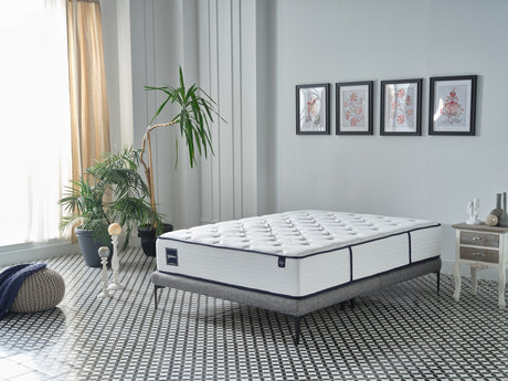 Balance Queen Firm Mattress from Bellona - Luna Furniture