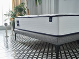 Balance Queen Firm Mattress from Bellona - Luna Furniture