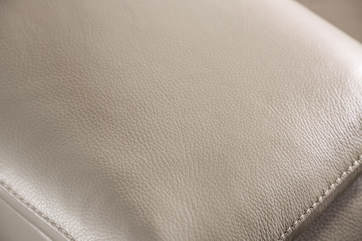 Balderico Taupe Power Reclining Loveseat from Furniture of America - Luna Furniture