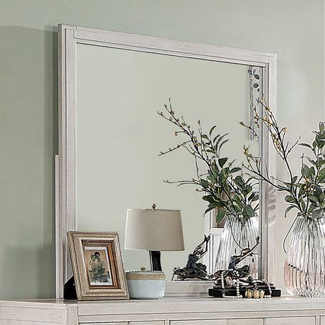 Berenice White Mirror (Mirror Only) from Furniture of America - Luna Furniture
