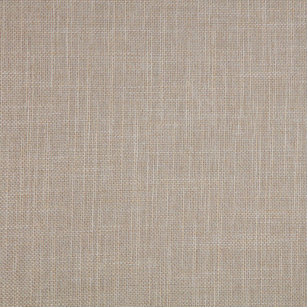 Bexhill White 56-inch Upholstered California King Panel Bed from Coaster - Luna Furniture