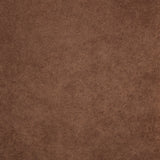 Bowen Rust Fabric Upholstered Track Arm Accent Chair from Coaster - Luna Furniture