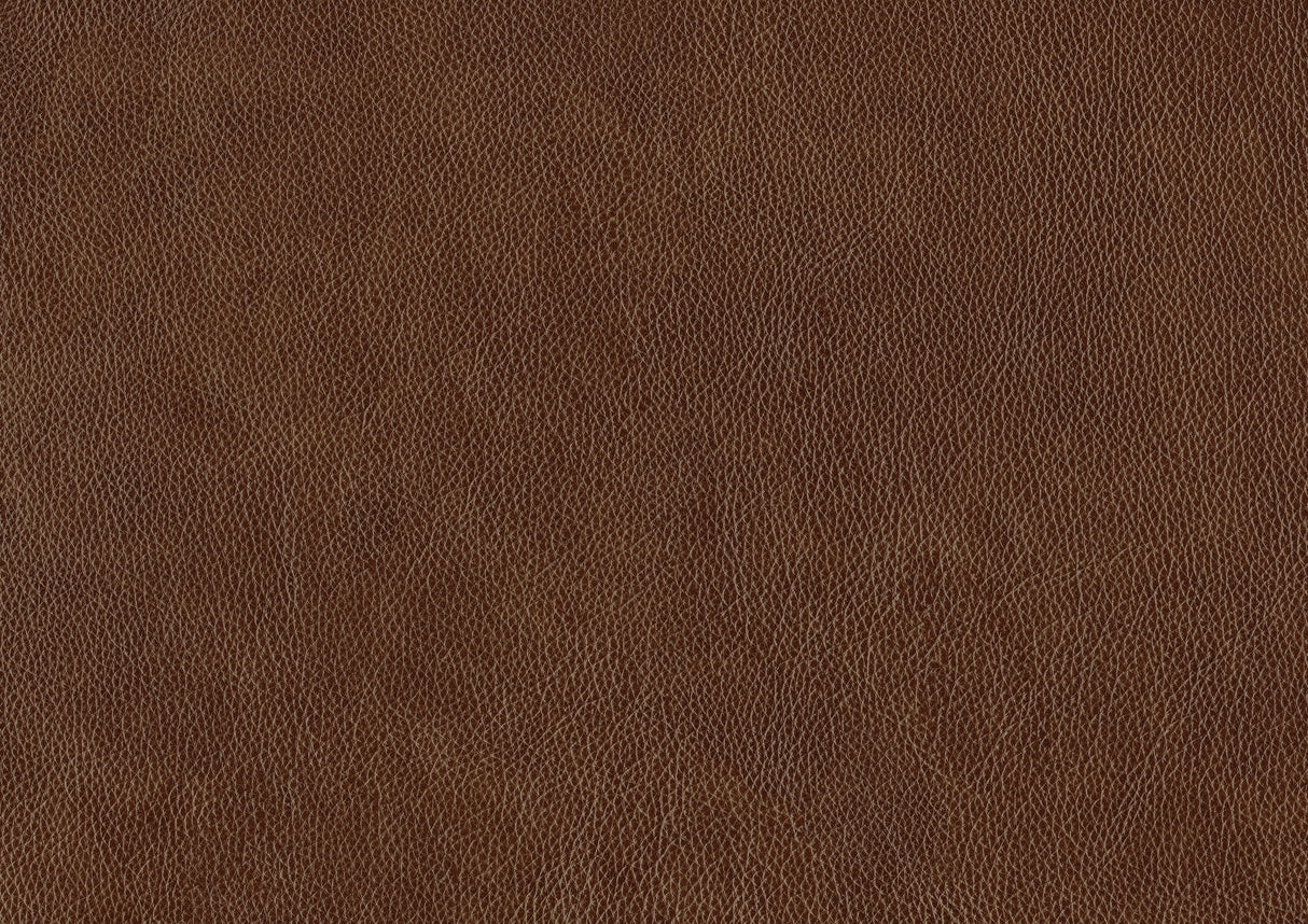 Braintree Brown Top-Grain Leather Accent Chair from Homelegance - Luna Furniture