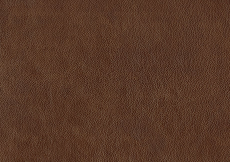 Braintree Brown Top-Grain Leather Accent Chair from Homelegance - Luna Furniture